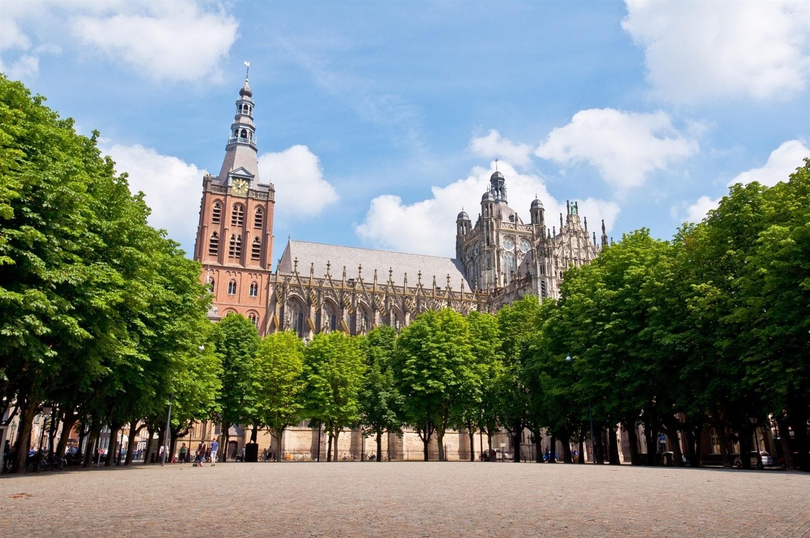 Den Bosch kathedral