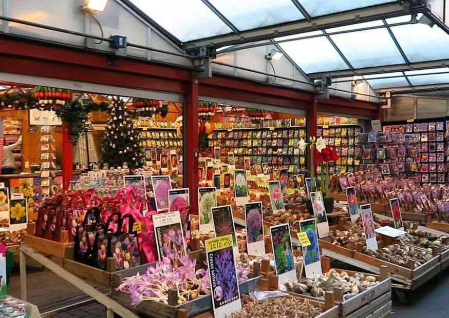 Flower-Market-Amsterdam